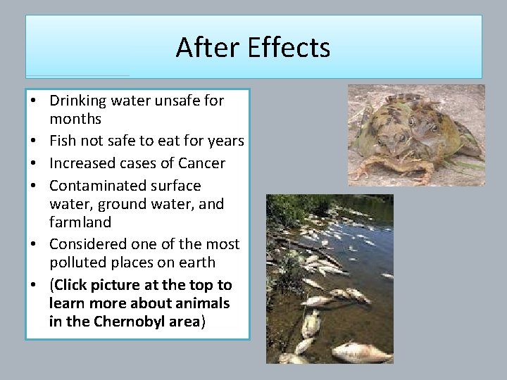 After Effects • Drinking water unsafe for months • Fish not safe to eat
