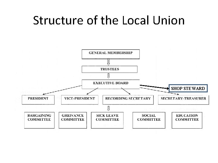 Structure of the Local Union SHOP STEWARD 