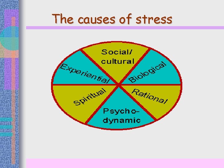 The causes of stress 