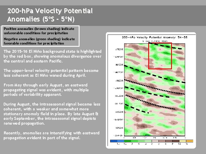 200 -h. Pa Velocity Potential Anomalies (5ºS - 5ºN) Positive anomalies (brown shading) indicate