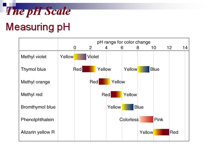 The p. H Scale Measuring p. H 