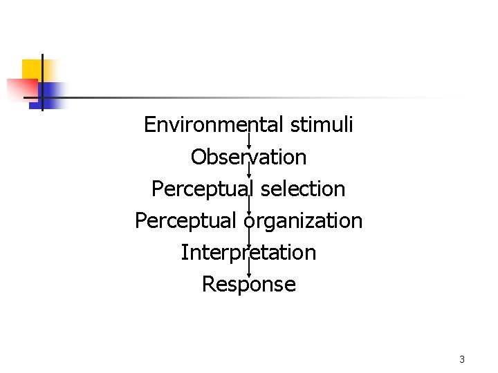Environmental stimuli Observation Perceptual selection Perceptual organization Interpretation Response 3 