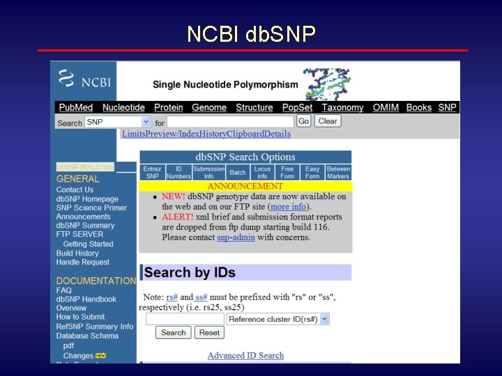 NCBI db. SNP 