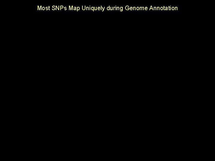 Most SNPs Map Uniquely during Genome Annotation 