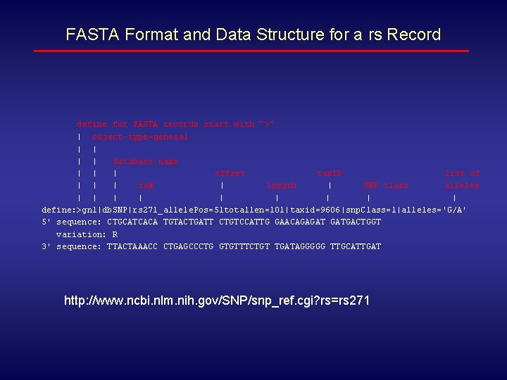 FASTA Format and Data Structure for a rs Record define for FASTA records start