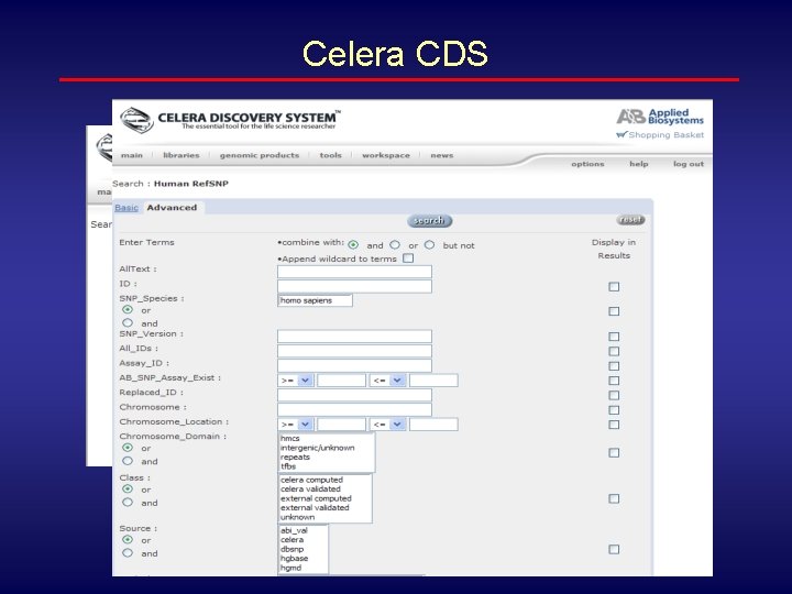 Celera CDS 