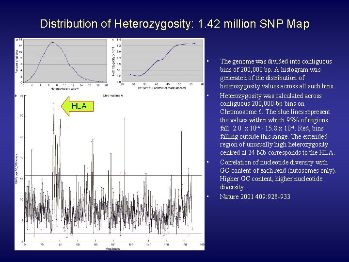 Distribution of Heterozygosity: 1. 42 million SNP Map • • HLA • • The