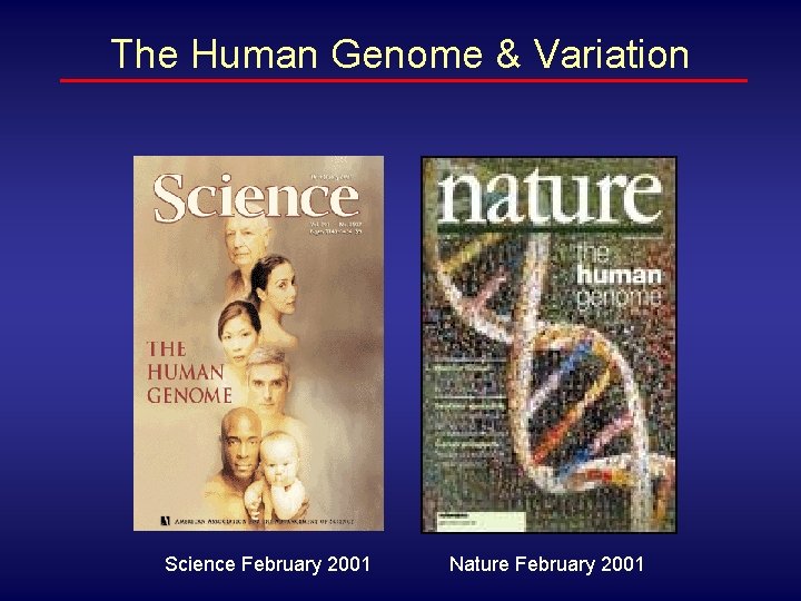 The Human Genome & Variation Science February 2001 Nature February 2001 