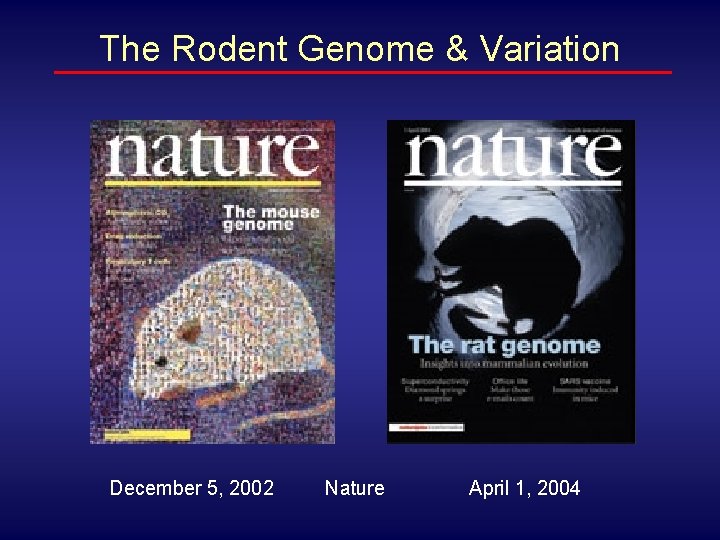 The Rodent Genome & Variation December 5, 2002 Nature April 1, 2004 