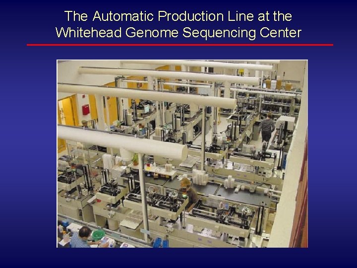 The Automatic Production Line at the Whitehead Genome Sequencing Center 