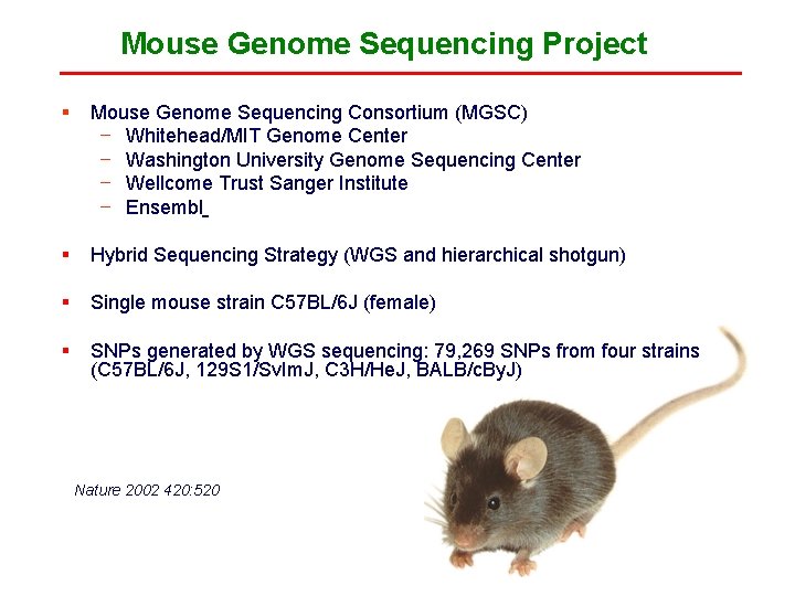 Mouse Genome Sequencing Project § Mouse Genome Sequencing Consortium (MGSC) − Whitehead/MIT Genome Center