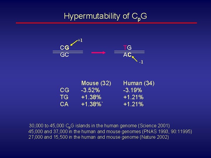 Hypermutability of Cp. G +1 CG GC TG AC -1 CG TG CA Mouse