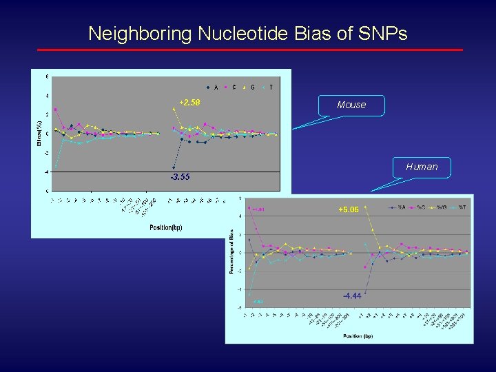 Neighboring Nucleotide Bias of SNPs +2. 58 Mouse Human -3. 55 -4. 44 