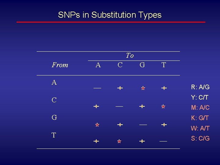 SNPs in Substitution Types To From A C A C G T R: A/G