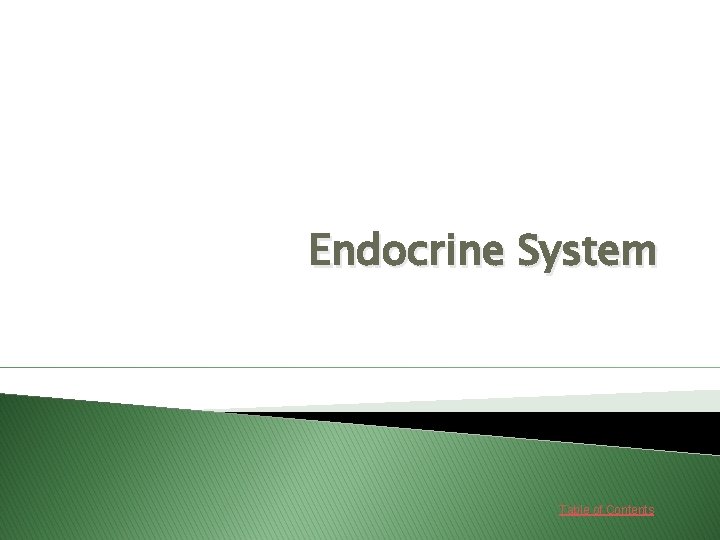 Endocrine System Table of Contents 