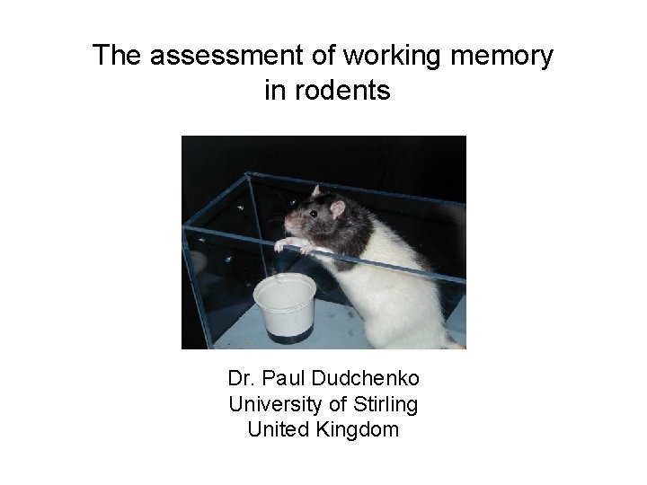 The assessment of working memory in rodents Dr. Paul Dudchenko University of Stirling United