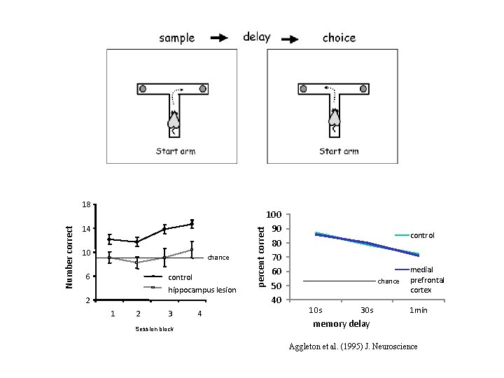 14 10 chance 6 control hippocampus lesion 2 1 2 3 Session block 4