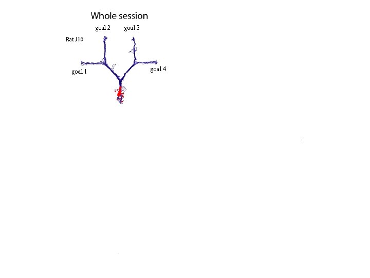 goal 2 goal 1 goal 3 goal 4 