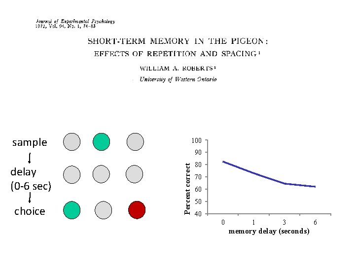 sample 100 delay (0 -6 sec) 80 Percent correct choice 90 70 60 50