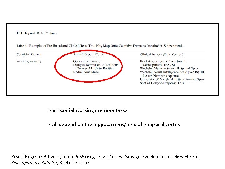  • all spatial working memory tasks • all depend on the hippocampus/medial temporal