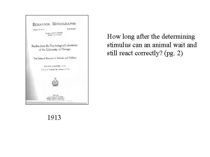 How long after the determining stimulus can an animal wait and still react correctly?