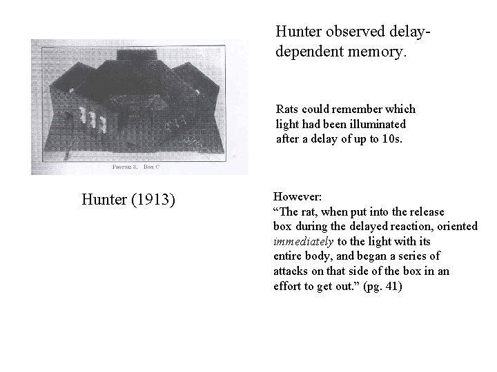 Hunter observed delaydependent memory. Rats could remember which light had been illuminated after a