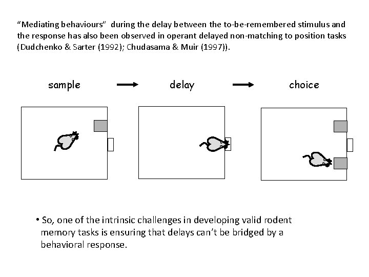 “Mediating behaviours” during the delay between the to-be-remembered stimulus and the response has also