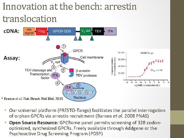 Innovation at the bench: arrestin translocation c. DNA: Assay: * Kroeze et al. Nat.