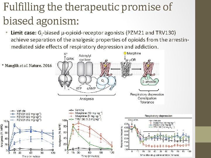 Fulfilling therapeutic promise of biased agonism: • Limit case: Gi-biased μ-opioid-receptor agonists (PZM 21