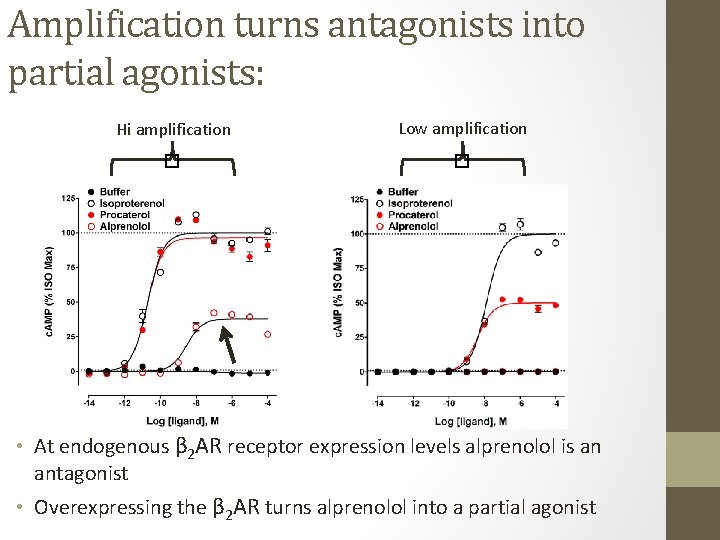Hi amplification Low amplification � � Amplification turns antagonists into partial agonists: • At