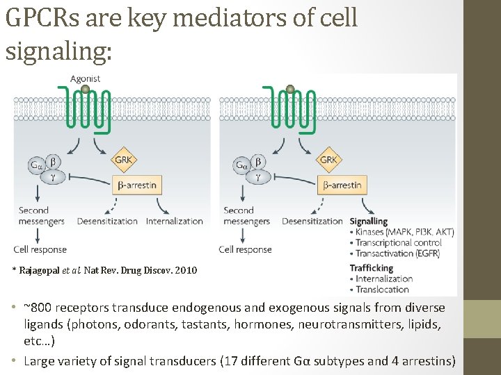 GPCRs are key mediators of cell signaling: * Rajagopal et al. Nat Rev. Drug