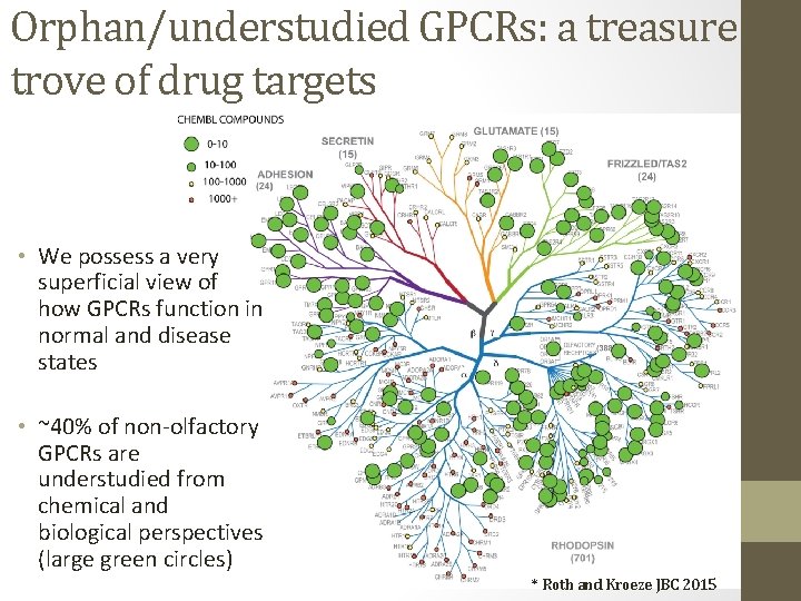 Orphan/understudied GPCRs: a treasure trove of drug targets • We possess a very superficial