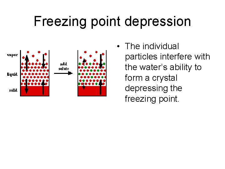 Freezing point depression • The individual particles interfere with the water’s ability to form