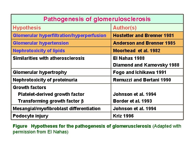 Pathogenesis of glomerulosclerosis Hypothesis Author(s) Glomerular hyperfiltration/hyperperfusion Hostetter and Brenner 1981 Glomerular hypertension Anderson