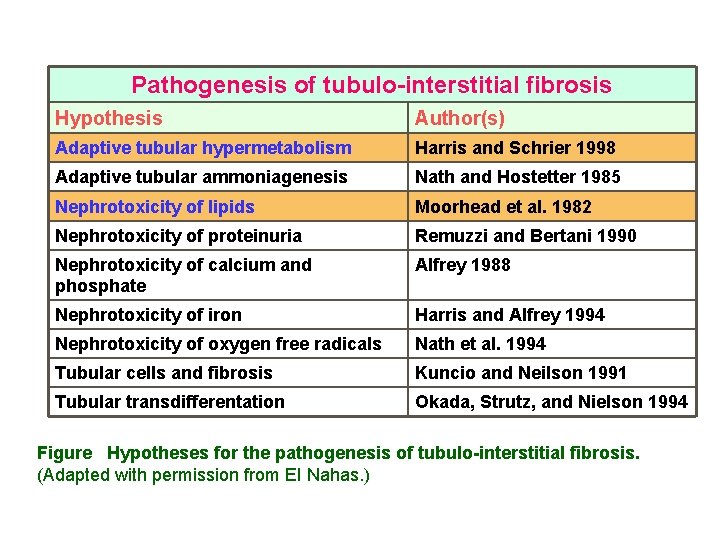 Pathogenesis of tubulo-interstitial fibrosis Hypothesis Author(s) Adaptive tubular hypermetabolism Harris and Schrier 1998 Adaptive