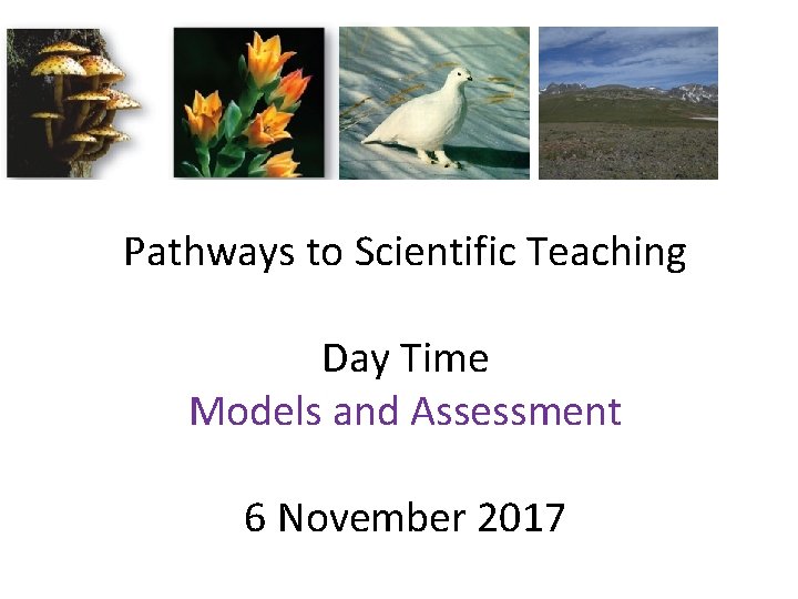 Pathways to Scientific Teaching Day Time Models and Assessment 6 November 2017 