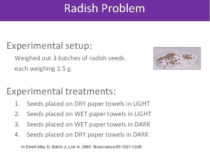 Radish Problem Experimental setup: Weighed out 3 batches of radish seeds each weighing 1.