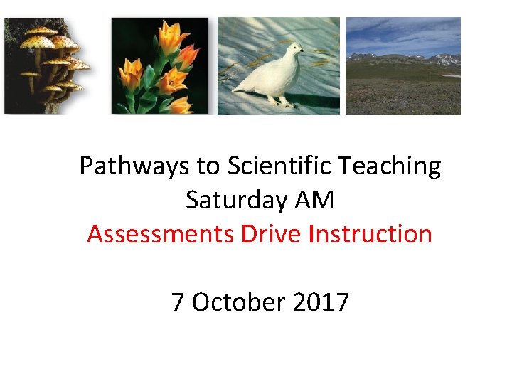 Pathways to Scientific Teaching Saturday AM Assessments Drive Instruction 7 October 2017 