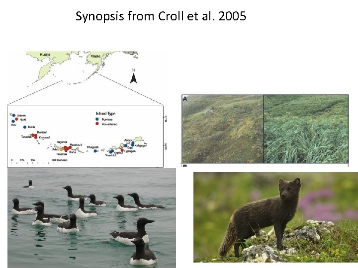 Synopsis from Croll et al. 2005 