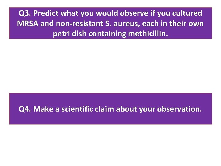 Q 3. Predict what you would observe if you cultured MRSA and non-resistant S.