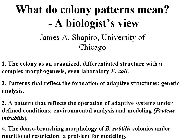 Colony Simple What do colony patterns mean A biologists view