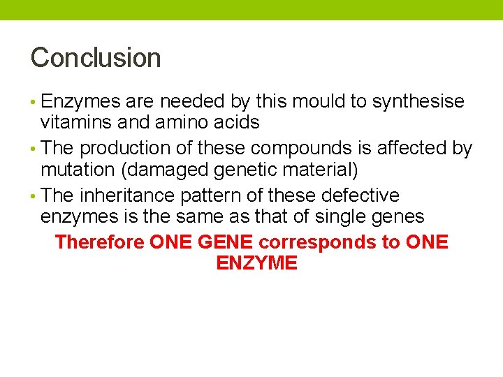 Conclusion • Enzymes are needed by this mould to synthesise vitamins and amino acids Conclusion • Enzymes are needed by this mould to synthesise vitamins and amino acids