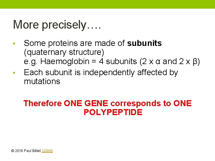 More precisely…. • • Some proteins are made of subunits (quaternary structure) e. g. More precisely…. • • Some proteins are made of subunits (quaternary structure) e. g.