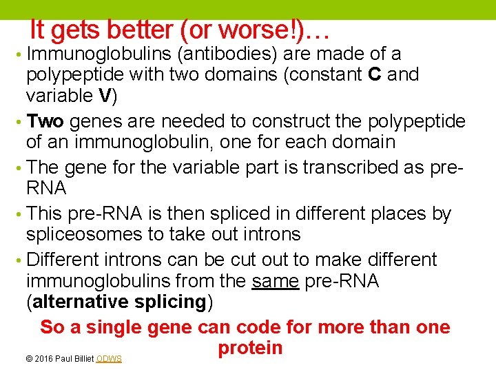 It gets better (or worse!)… • Immunoglobulins (antibodies) are made of a polypeptide with It gets better (or worse!)… • Immunoglobulins (antibodies) are made of a polypeptide with