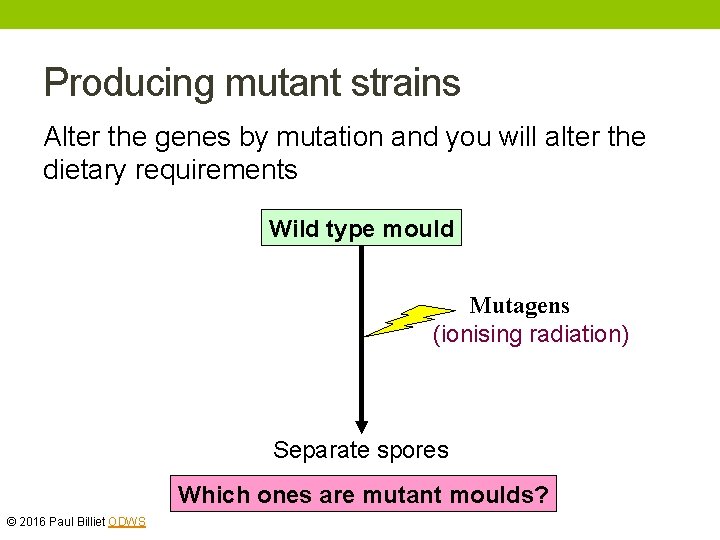 Producing mutant strains Alter the genes by mutation and you will alter the dietary Producing mutant strains Alter the genes by mutation and you will alter the dietary