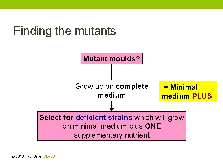 Finding the mutants Mutant moulds? Grow up on complete medium = Minimal medium PLUS Finding the mutants Mutant moulds? Grow up on complete medium = Minimal medium PLUS