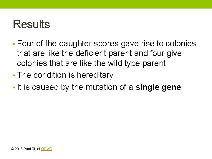 Results • Four of the daughter spores gave rise to colonies that are like Results • Four of the daughter spores gave rise to colonies that are like