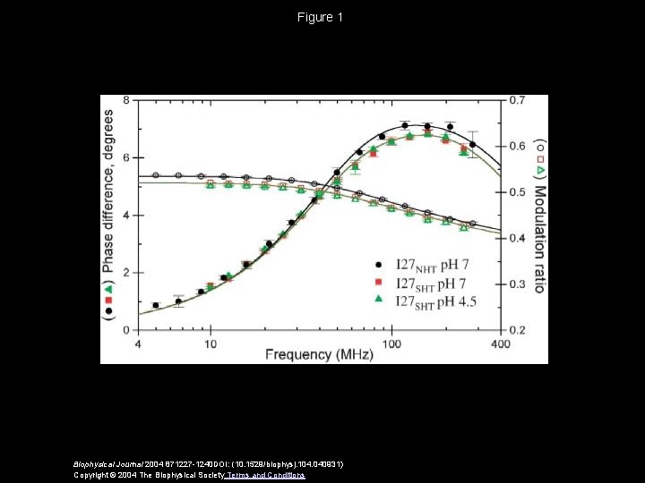 Figure 1 Biophysical Journal 2004 871227 -1240 DOI: (10. 1529/biophysj. 104. 040931) Copyright ©