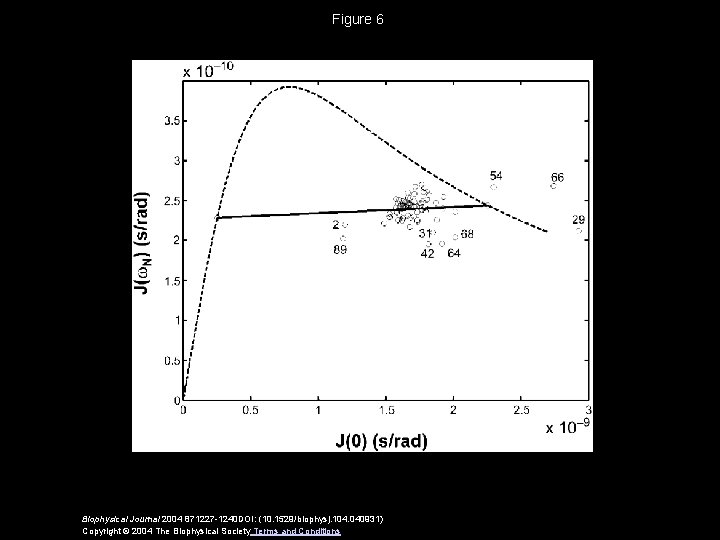 Figure 6 Biophysical Journal 2004 871227 -1240 DOI: (10. 1529/biophysj. 104. 040931) Copyright ©