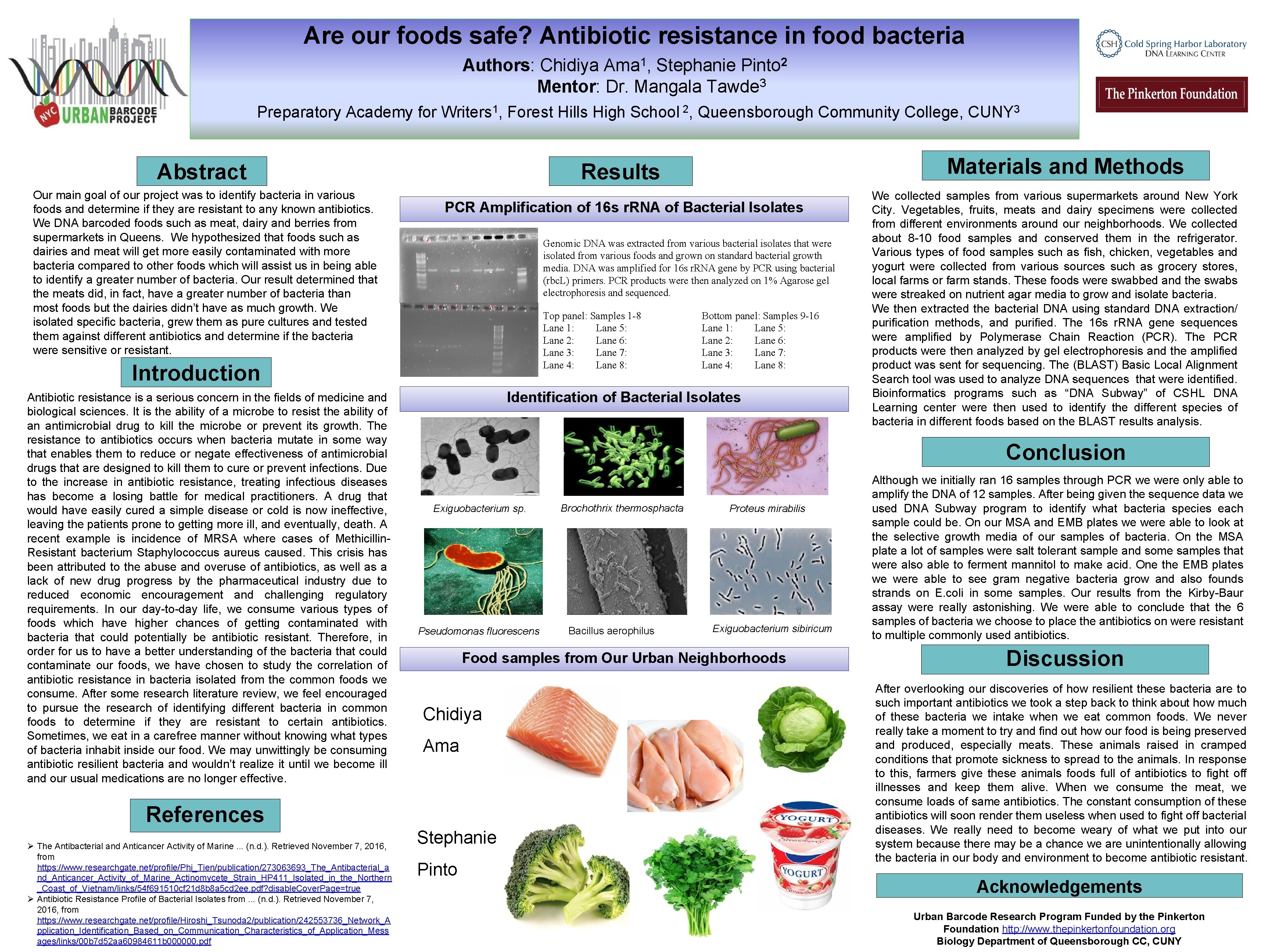 Are our foods safe? Antibiotic resistance in food bacteria 1 2 Authors: Chidiya Ama